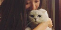 语画界 angela喜欢猫视频,与猫咪共度的温馨时光