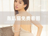 模范学院尤蜜荟轰趴猫,模范学院里的时尚宠儿