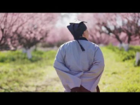 花漾海湾,海滨风情与休闲生活的完美融合